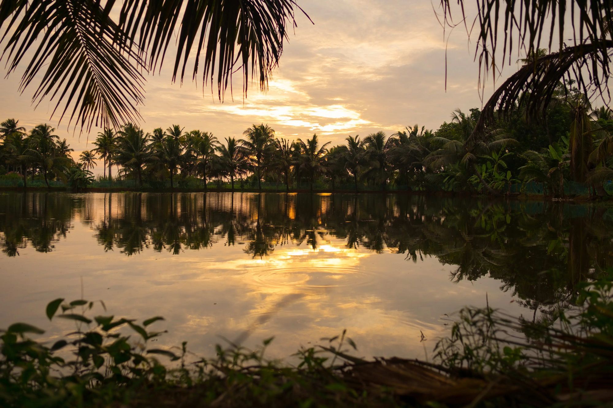 Hemant's Soulful Family Vacation in Kerala with Thrillophilia