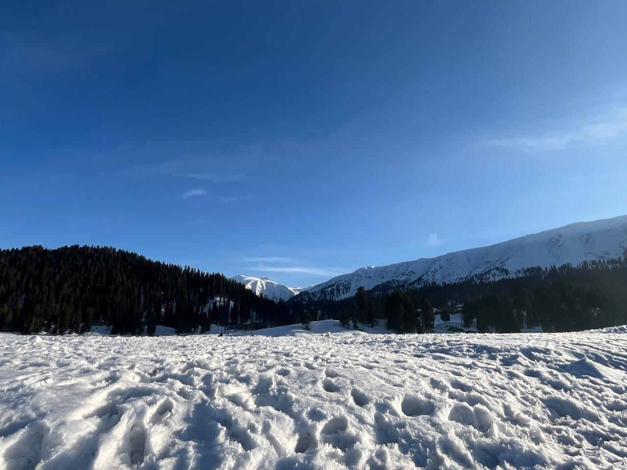 The Gandhis Discover Kashmir’s Magic: A Family Tale Captured in Thrillophilia Reviews