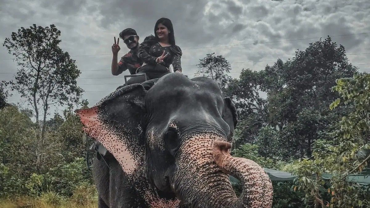 A Beginning Framed by Kerala’s Quiet Beauty: Abhishek’s Honeymoon Journey with Thrillophilia