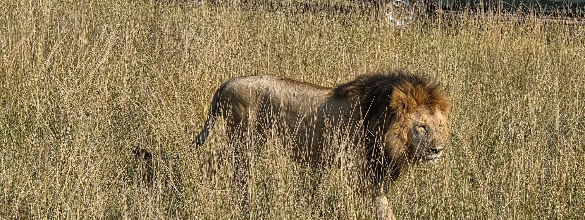 Ashit’s Family Expedition Across Kenya’s Iconic Parks with Thrillophilia