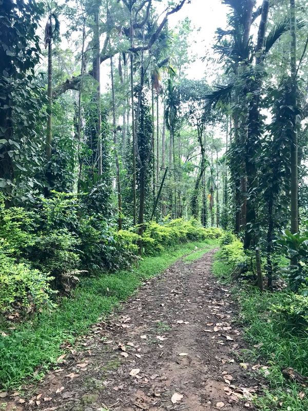 Supriya’s Awaited Trek To Coorg With Thrillophilia!