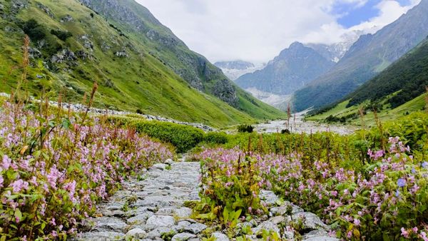 Hunting the Nature’s Masterpiece: Mayukh’s Valley of Flowers Trek with Thrillophilia