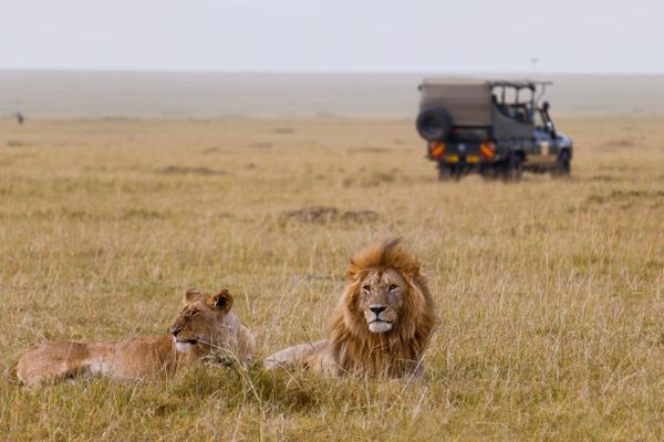 A Gift for A Father: Shailu’s African Safari Adventure with Thrillophilia