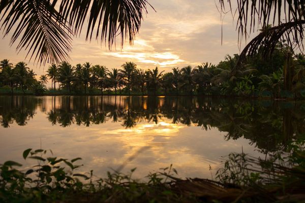 Hemant's Soulful Family Vacation in Kerala with Thrillophilia