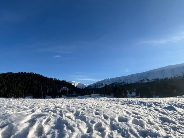 The Gandhis Discover Kashmir’s Magic: A Family Tale Captured in Thrillophilia Reviews