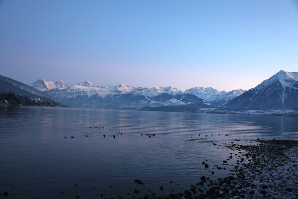 Kirti’s Switzerland Honeymoon Review with Thrillophilia: A Fairytale in the Alps