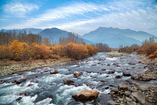A Family Trip to Remember: Rajiv Jain’s Kashmir Experience with Thrillophilia