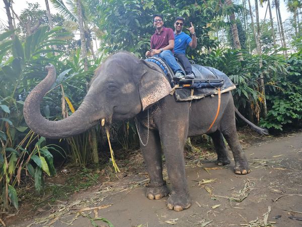 Tushar Dutt’s Kerala Trip Review with Thrillophilia: A Family Journey Through Calm, Clouds, and Backwaters